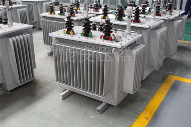 嘉峪关S22-100KVA/10KV/0.4KV变压器